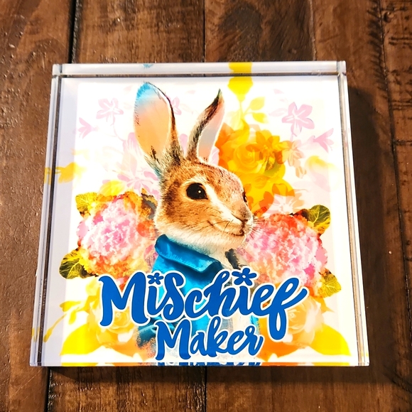 DanDee Peter Rabbit Mischief Maker Easter Table Decor Glass 5" x 5" Paperweight - Picture 1 of 4